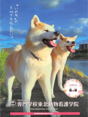 専門学校東北動物看護学院
